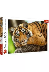 Puzzle 500 el. Portret tygrysa Trefl