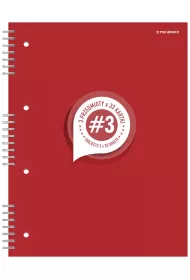 Hamelin Ko�ozeszyt A4 Top2000 Student Book kratka 100 kartek