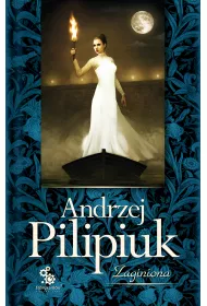 eBook Zaginiona mobi epub