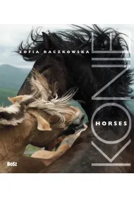 Konie / Horses