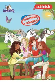 MALOWANKA  A4 HORSE CLUB NAKLEJKI AMEET