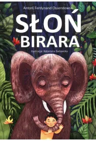 S�o� Birara