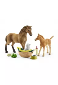Zestaw piel�gnacyjny Quarter Horse + �rebi�