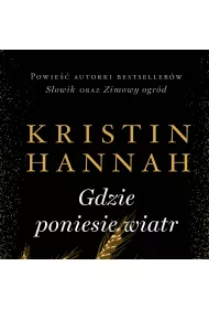 Audiobook Gdzie poniesie wiatr mp3