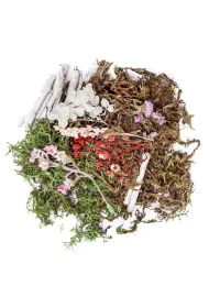 Dalprint Naturalne elementy mix Pastel 30g