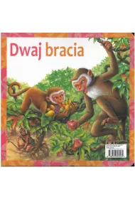 Dwaj bracia