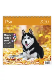 Kal 2020 Psy 30x30