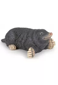 Kret