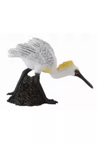 COLLECTA PTAK WARZECHA MALA IDACA ROZMIAR M BPZ-COLLECTA