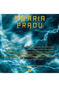 Audiobook Awaria prdu mp3