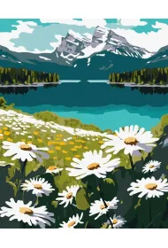Ideyka Malowanie po numerach - Kwitn�ce stokrotki 40x50cm