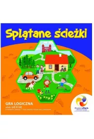 Gra logiczna Spltane cieki ExploraPark