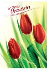 Art Nuvo Karnet B6 Kwiaty - W dniu urodzin