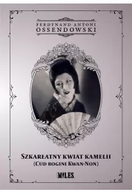 Szkaratny kwiat kamelii