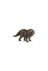 Triceratops