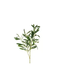 PartyDeco Ga��zka oliwna, 91 cm  1 op. / 1 szt.