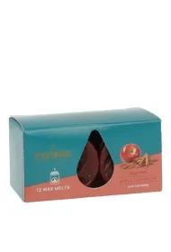 Wosk zapachowy do kominka Apple Cinnamon