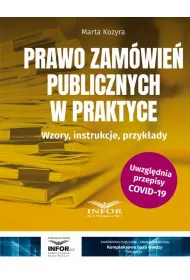 eBook Prawo zamwie publicznych w praktyce pdf