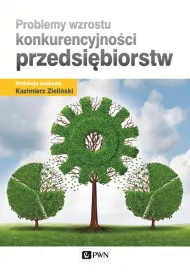 Problemy wzrostu konkurencyjno�ci przedsi�biorstw