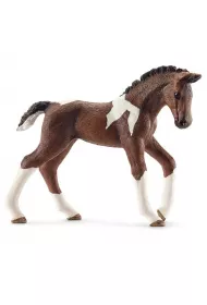 �rebi� rasy Trakehner