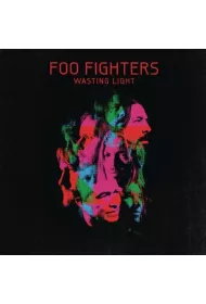 Wasting Light (vinyl)