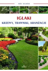 M�j ogr�d Iglaki krzewy drzewa trawy