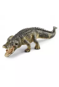 Aligator