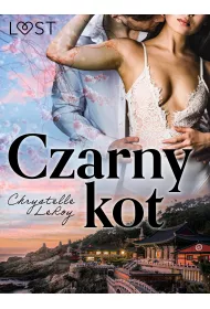 eBook Czarny kot - opowiadanie erotyczne mobi epub