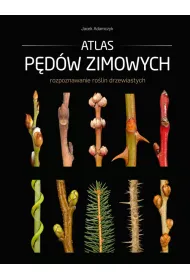 Atlas p�d�w zimowych