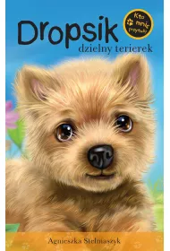 Kto mnie przytuli?  Dropsik dzielny terierek
