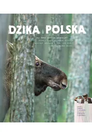 Dzika Polska