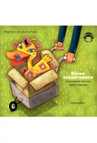 Sowa zaczarowane Audiobook CD
