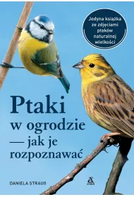 Ptaki w ogrodzie - jak je rozpoznawa