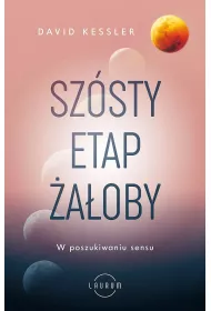 Szsty etap aoby. W poszukiwaniu sensu