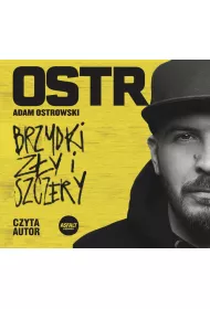 Audiobook Brzydki, zy i szczery mp3