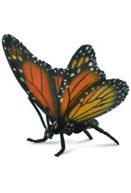Motyl kr�lewski