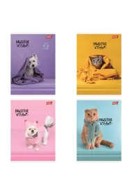 St. Majewski Zeszyt A5 32 kartki kratka. Ok�adka laminowana lakier miejscowy UV 70 g/m2. Pawsitive Vibes