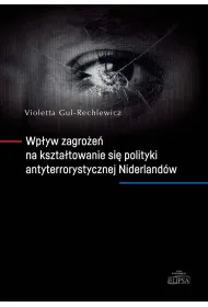 Wp�yw zagro�e� na kszta�towanie si� polityki..