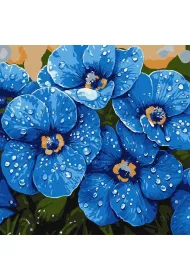 Ideyka Malowanie po numerach - Fio�ki w rosie 40x40cm