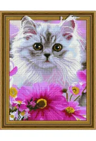 iPicasso Diamentowa mozaika 5D - S�odki kociak 40x50cm