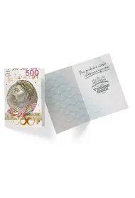 Kukartka Karnet Urodziny B6 PP-2186