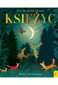 Ksi�yc