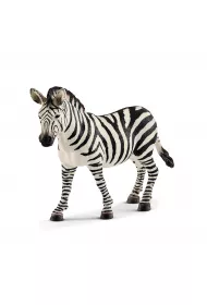 Zebra samica