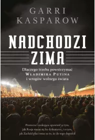 Nadchodzi zima