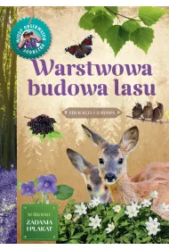 M�ody Obserwator Przyrody. Warstwowa budowa lasu