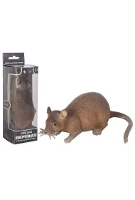 Szczur