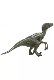 Velociraptor