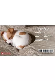 Bogulandia Magnes na lod�wk� Wsz�dzie dobrze, ale w domu