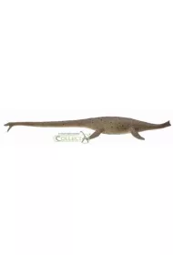 Dinozaur Thalassomedon 1:40 Deluxe