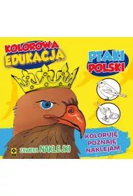 Kolorowa edukacja ptaki polski